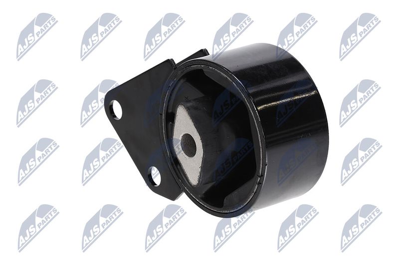 Paigutus, Mootor, NTY ZPS-CH-064