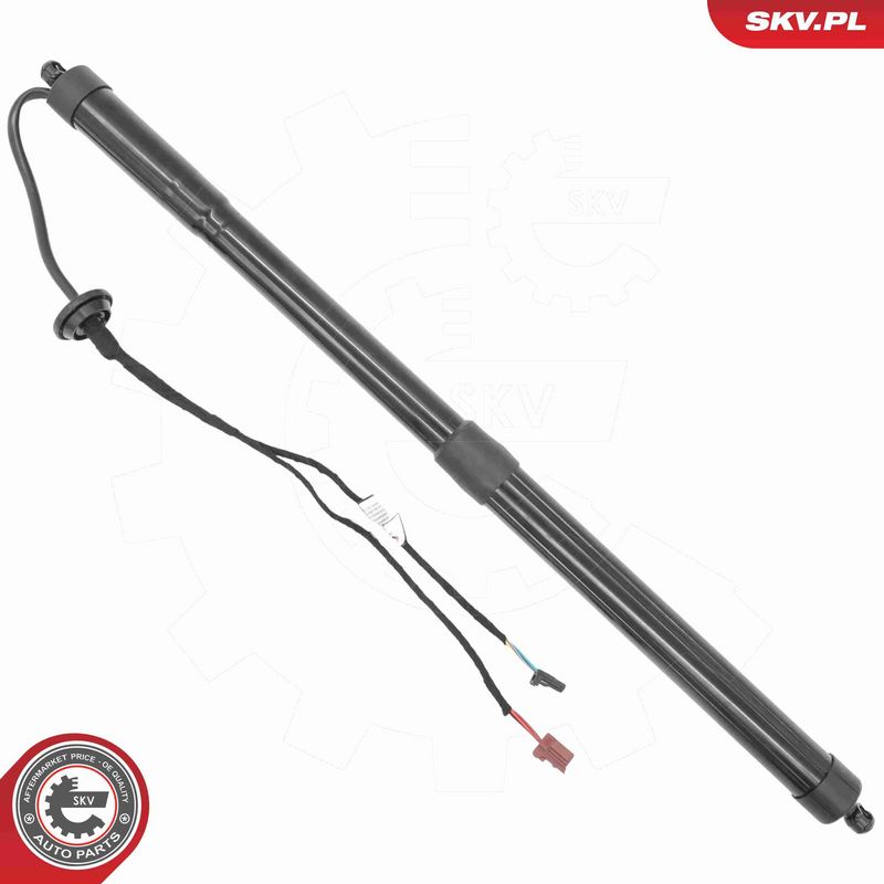 ESEN SKV 52SKV284 Electric Motor, tailgate