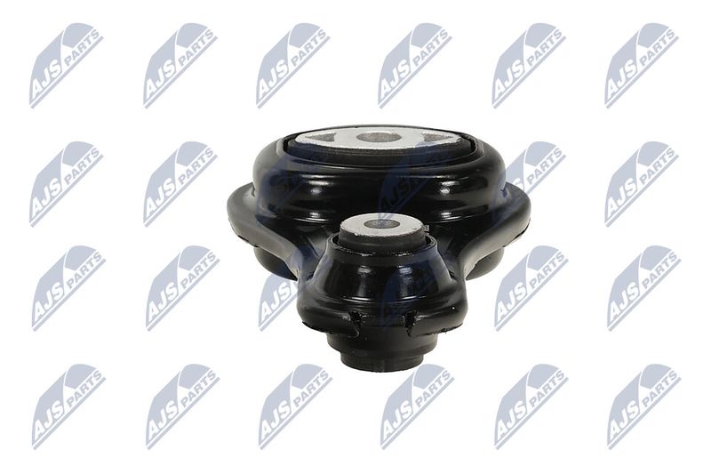 Paigutus, Mootor, NTY ZPS-PL-054