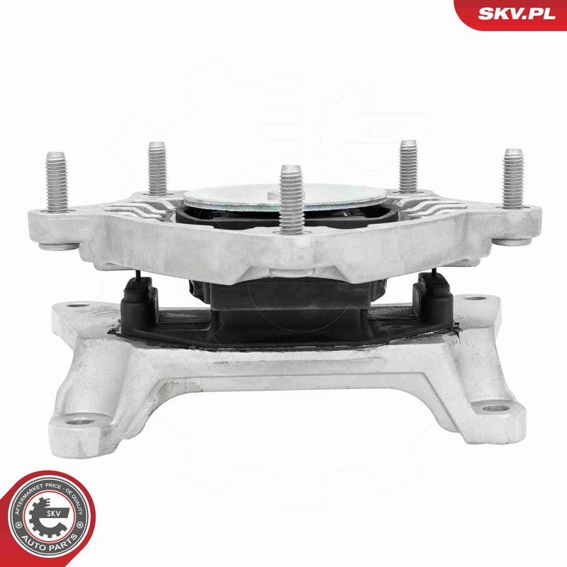 ESEN SKV 75SKV822 Automatinės pavarų dėžės pagalvė