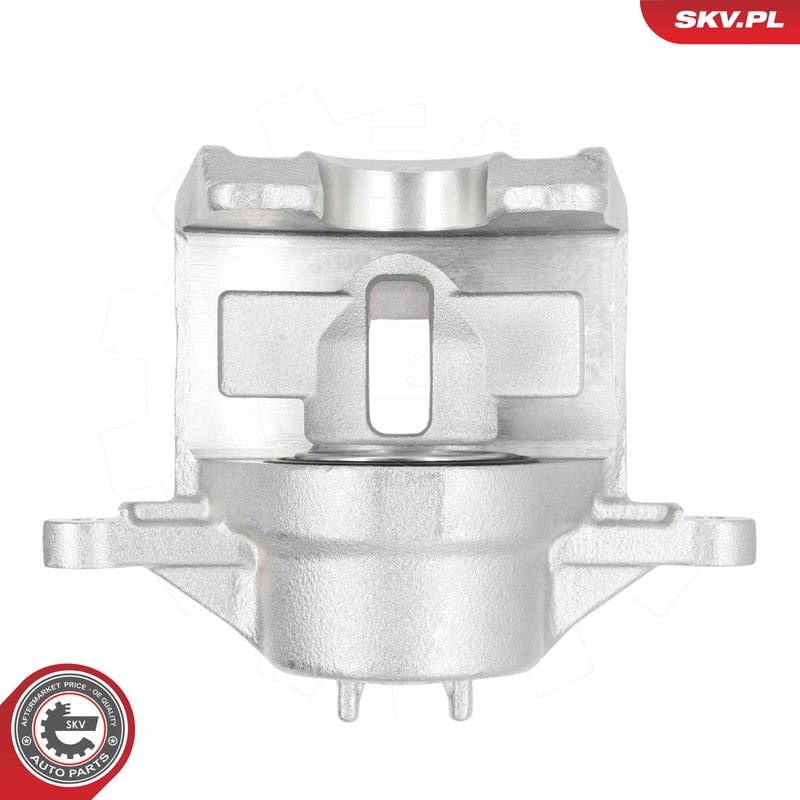 ESEN SKV 79SKV441 Brake Caliper