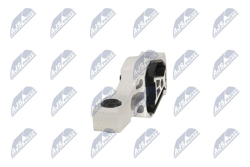 Paigutus, Mootor, NTY ZPS-PE-044