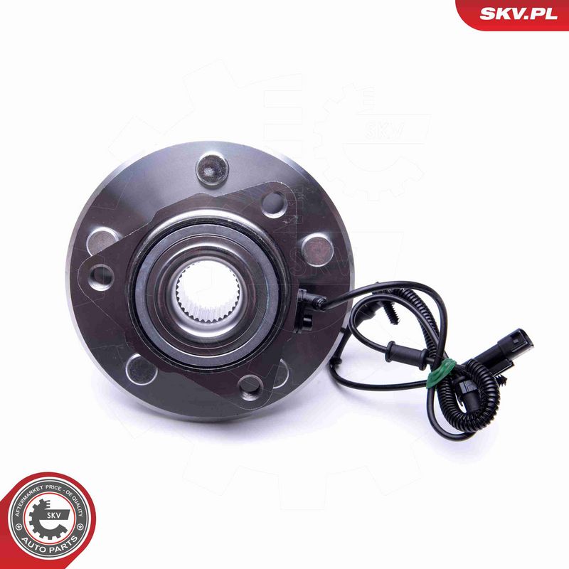 ESEN SKV 29SKV318 Wheel Bearing Kit