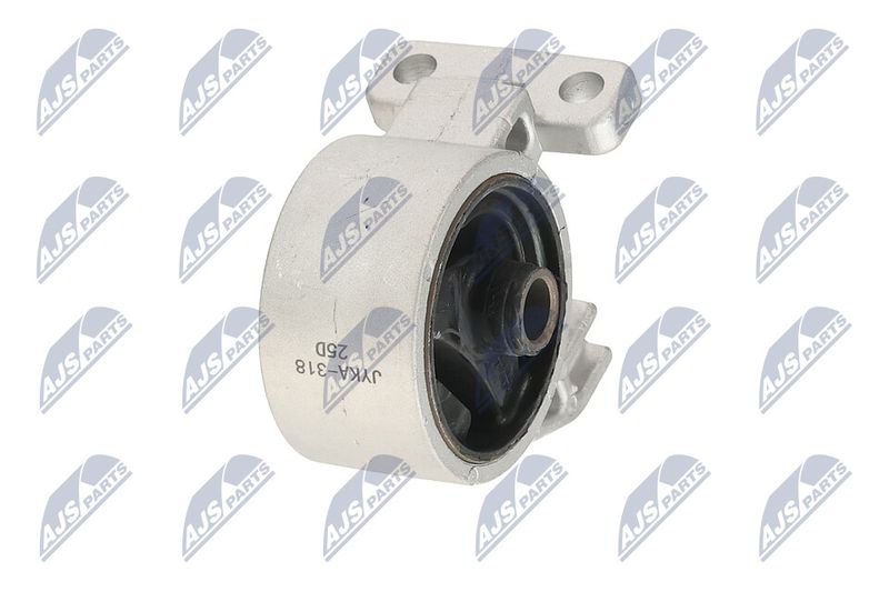 Paigutus, Mootor, NTY ZPS-KA-318