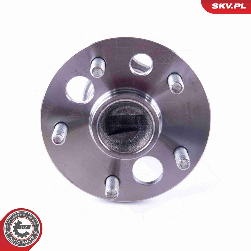 ESEN SKV 29SKV364 Wheel Bearing Kit