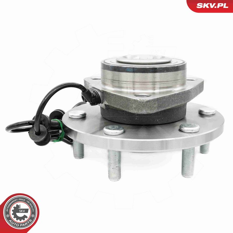 ESEN SKV 29SKV629 Wheel Bearing Kit