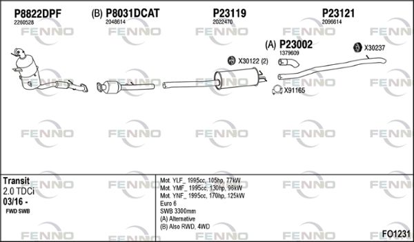 FO1231.JPG