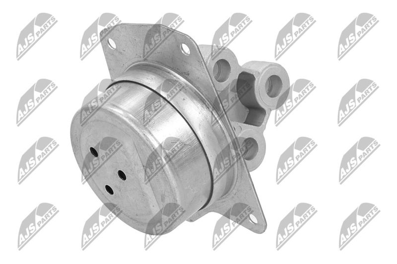 Paigutus, Mootor, NTY ZPS-PL-025