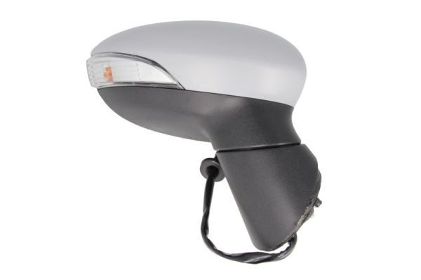 BLIC 5402-03-2001184P Exterior Mirror