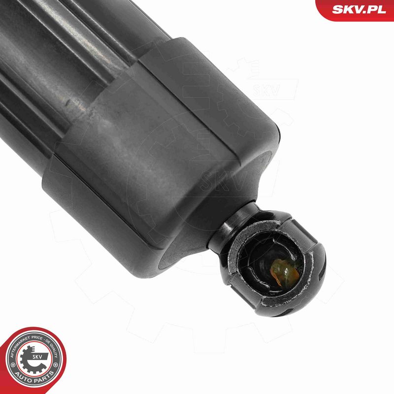 ESEN SKV 52SKV216 Electric Motor, tailgate