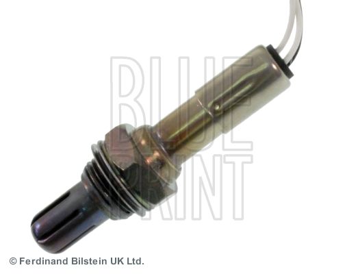 ADN17019_2.JPG