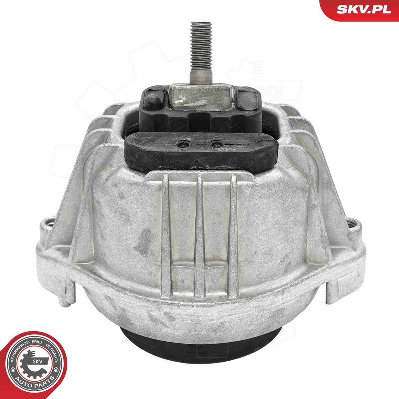 Paigutus, Mootor, ESEN SKV 75SKV290