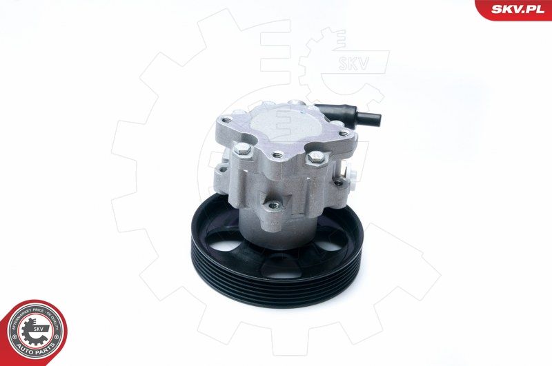 ESEN SKV 10SKV073 Hydraulic Pump, steering