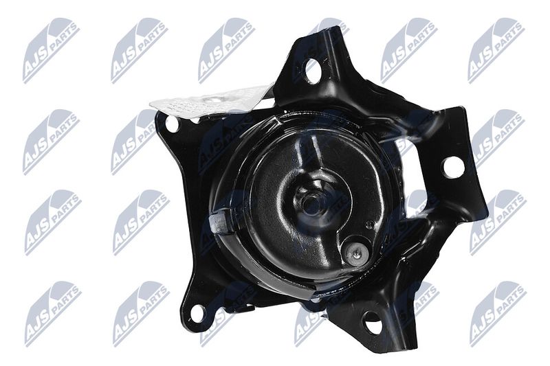 Paigutus, Mootor, NTY ZPS-CH-150