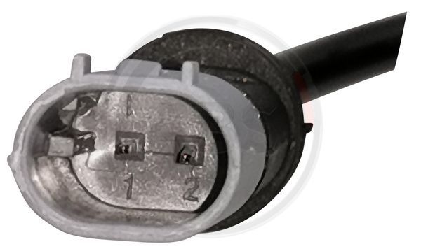 39905_PT02.JPG