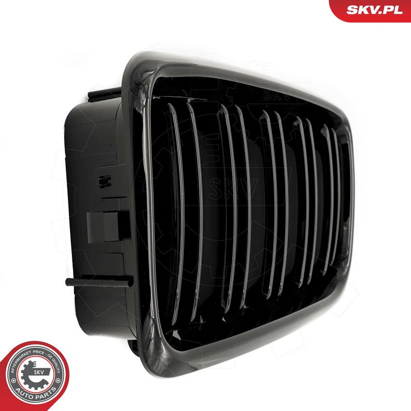 Radiaatorivõre, ESEN SKV 66SKV216