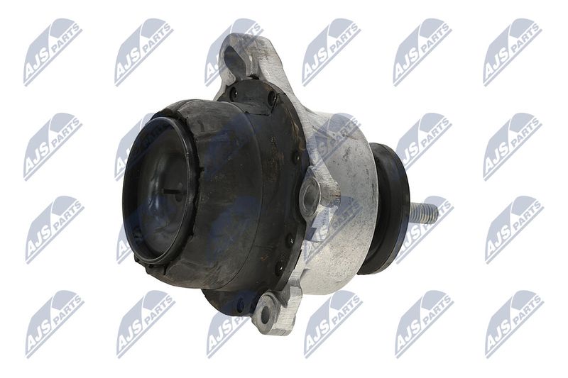 Paigutus, Mootor, NTY ZPS-FR-013