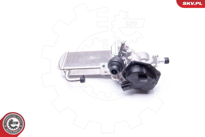 ESEN SKV 14SKV153 EGR Valve