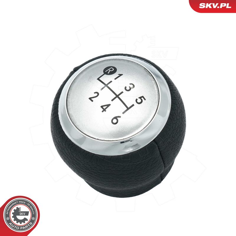 Käigukanginupp, ESEN SKV...