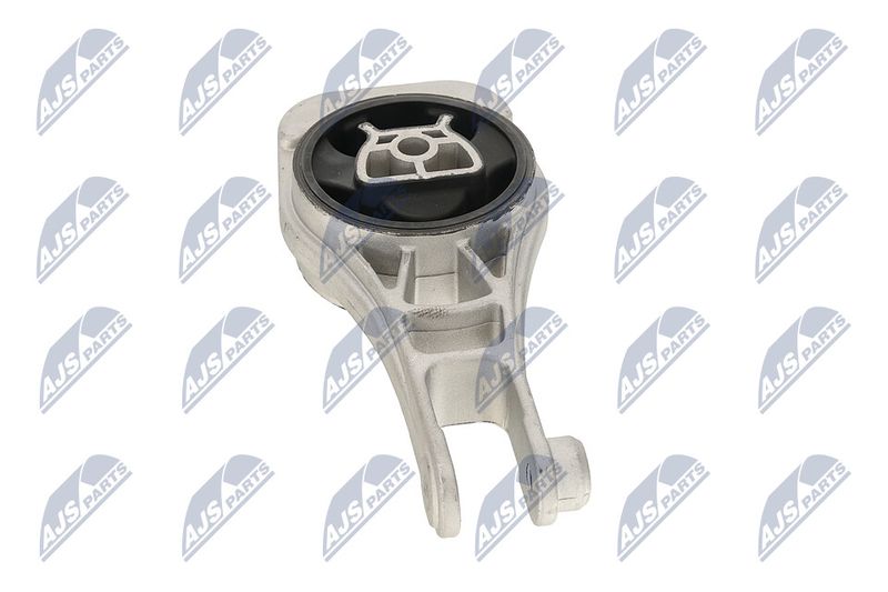 Paigutus, Mootor, NTY ZPS-PL-079
