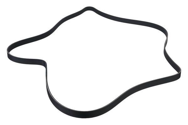 STELLOX 09-41655-SX V-ribbed Belt