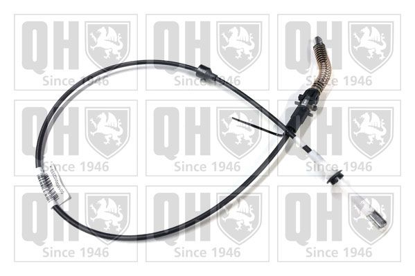 QH_QTC4047.JPG