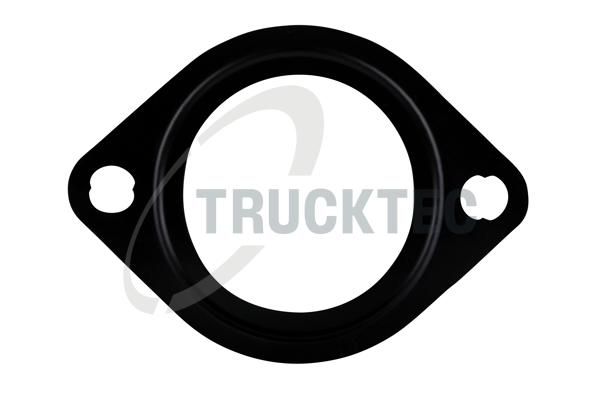 TRUCKTEC AUTOMOTIVE 03.19.206 - Vandens siurblio tarpinė