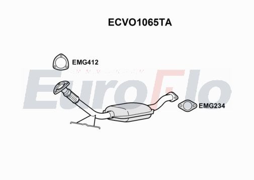 ecvo1065ta.JPG