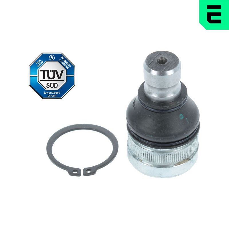 Kande-, juhtliigend,...