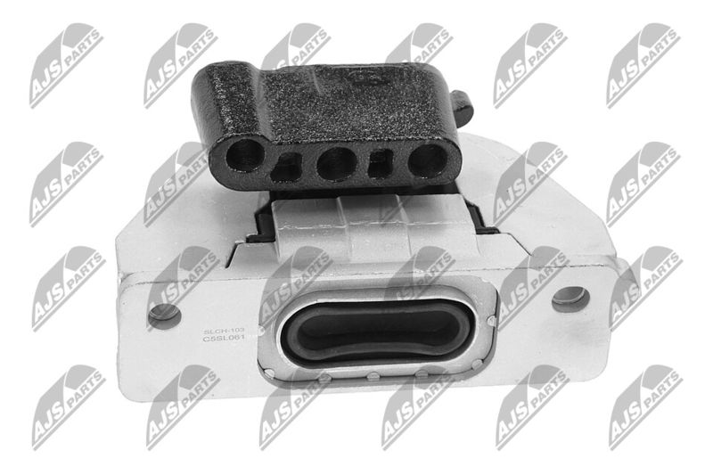 Paigutus, Mootor, NTY ZPS-CH-103