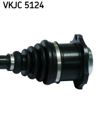 VKJC 5124_3.JPG