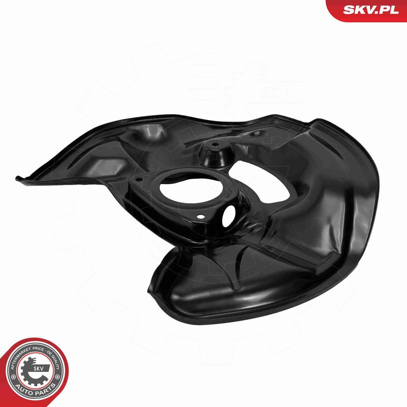 ESEN SKV 57SKV290 Splash Guard, brake disc