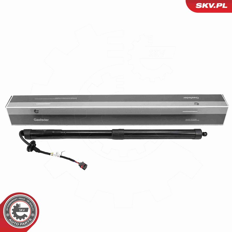 ESEN SKV 52SKV171 - Electric Motor, tailgate
