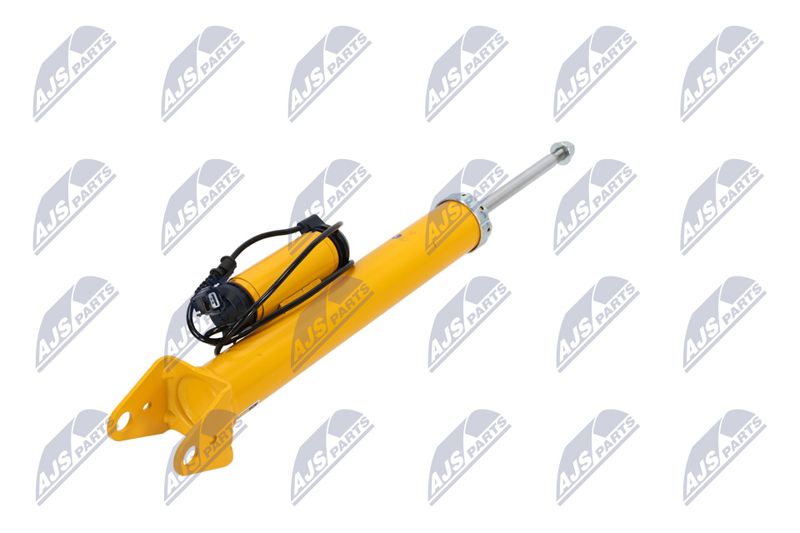 Amort, NTY A-CH-102