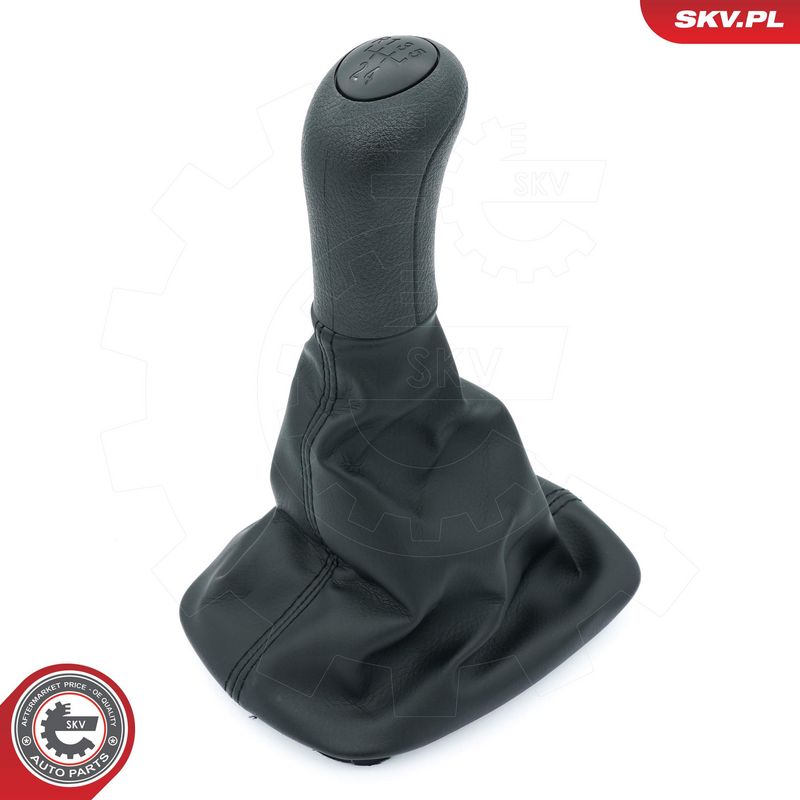 Käigukanginupp, ESEN SKV...