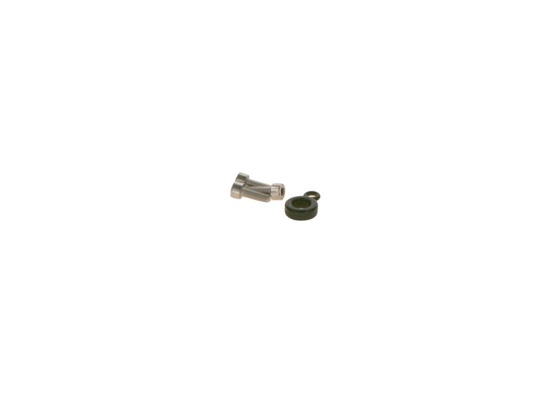 BOSCH F01C300131 Rubber Ring