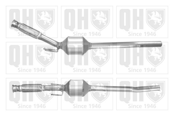 QH_QCAT80219H.JPG
