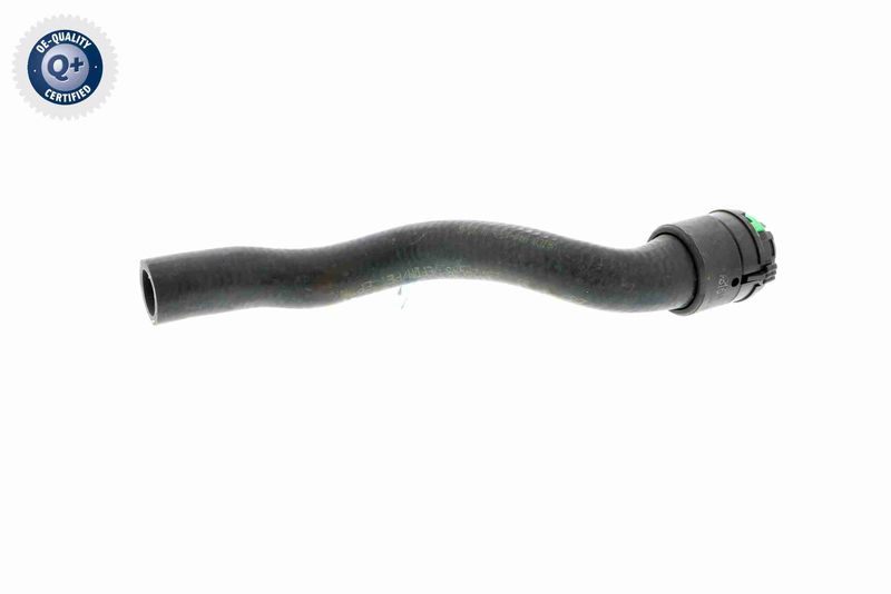 VAICO V40-1776 Radiator Hose