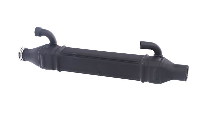 REMANTE 010-001-000022R EGR Module