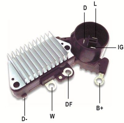 DDF_AMP0829_WR.JPG