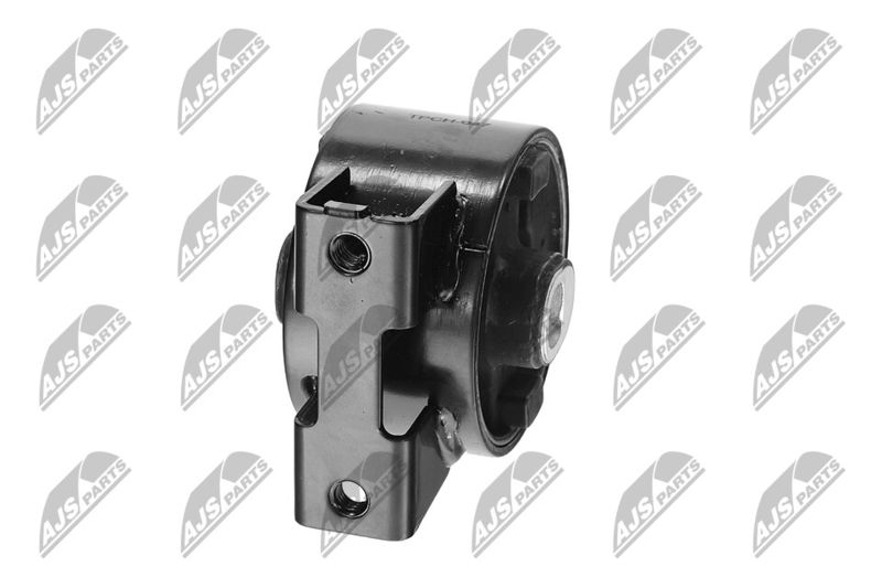 Paigutus, Mootor, NTY ZPS-CH-047