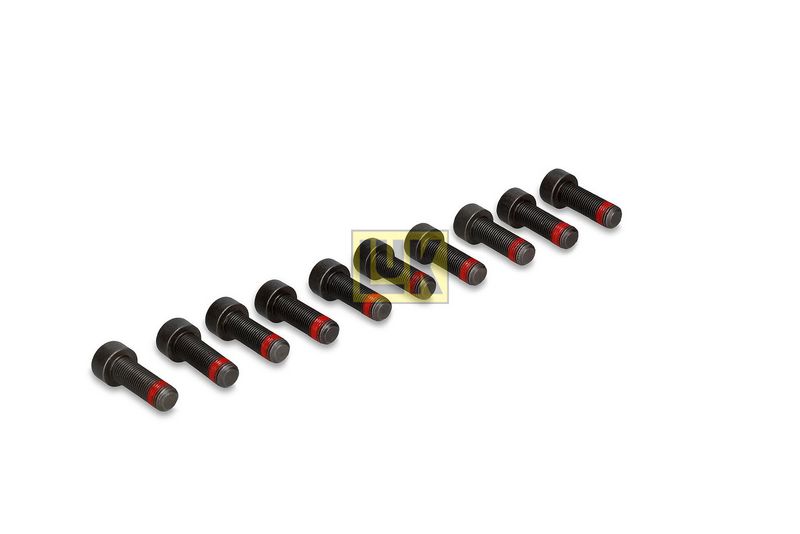 Kruvikomplekt, hooratas, Schaeffler LuK 411 0139 10