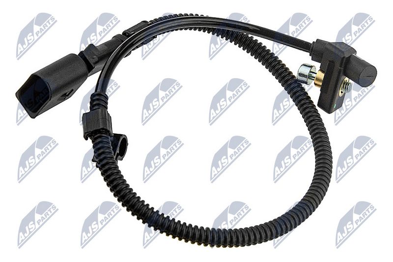 ecp-vw-005_1-wm.JPG