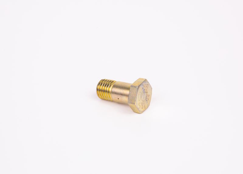 Surub F 002 D13 579 BOSCH
