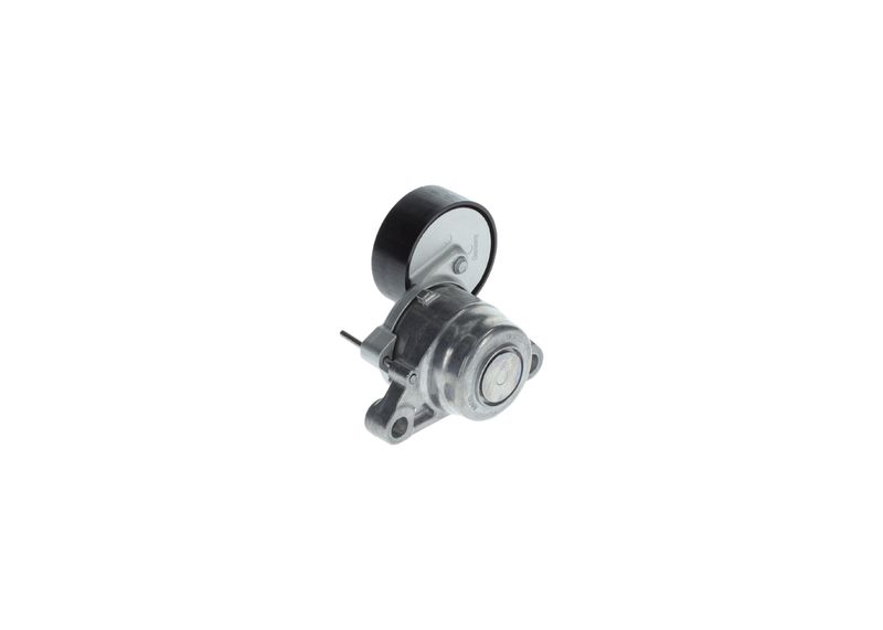 1987600316 BOSCH Tendicinghia, Cinghia Poly-V 