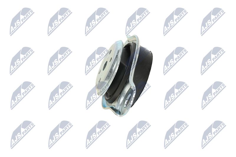 Paigutus, Mootor, NTY ZPS-FT-005