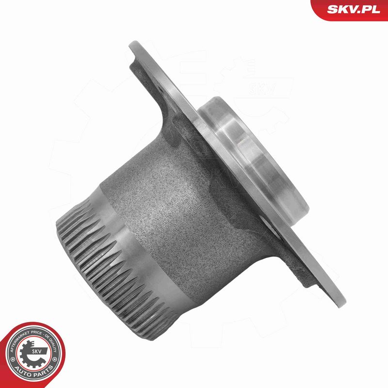 ESEN SKV 29SKV503 Wheel Bearing Kit