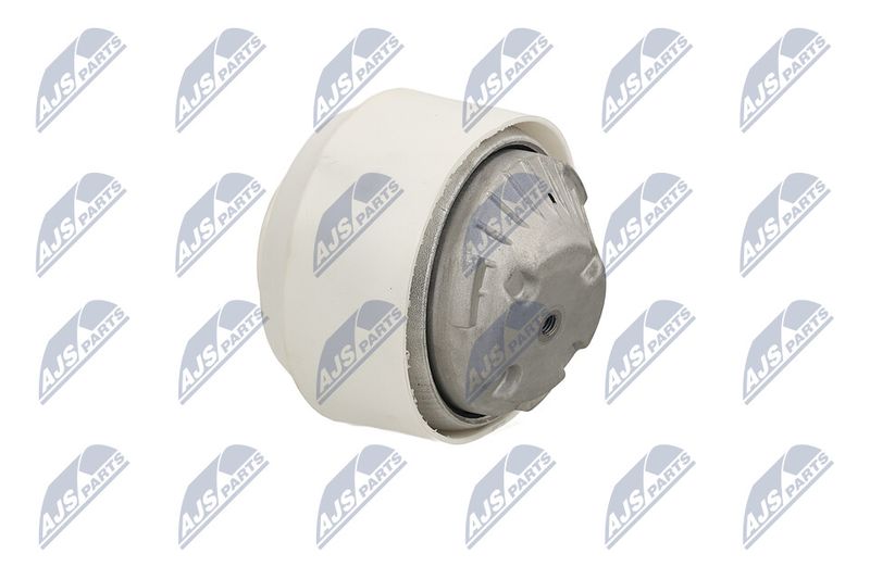 Paigutus, Mootor, NTY ZPS-ME-109