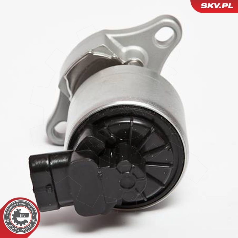 EGR-klapp, ESEN SKV 14SKV042