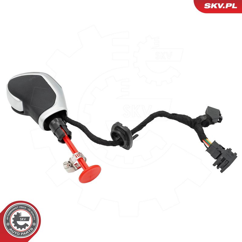 Käigukanginupp, ESEN SKV...